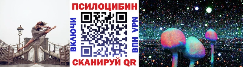 сколько стоит  Солнечногорск  Псилоцибиновые грибы мицелий 